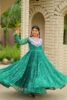 Navratri Grace 9 Meter Flair Gown
